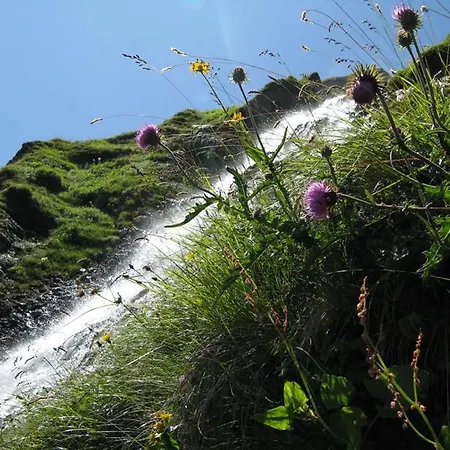 安贝尔格旅馆 公寓 迈尔霍芬